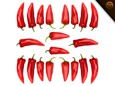 Vector of Fresh Red Chili with Realistic Gradient Mesh capsicum chili design fruit gradient mesh healthy illustration meshfill meshfill art natural organic paprika pepper realism realistic vector vegetable