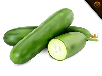 Realistic vector of Fresh green Cucumber with Sliced isolated
