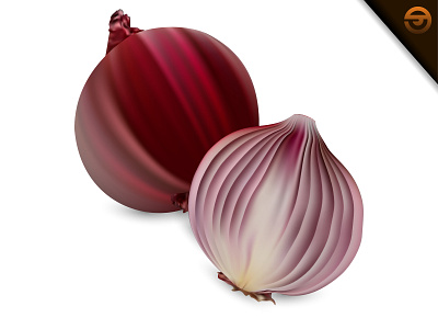 Fresh Red Onion With Gradient Mesh, Vector Illustration design gradient mesh healthy illustration kitchen kitchens meshfill meshfill art natural onion onions organic realism realistic red and black red onion vector vegetable