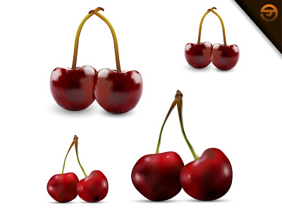 Vector Illustration of Fresh Red Cherry With Gradient Mesh