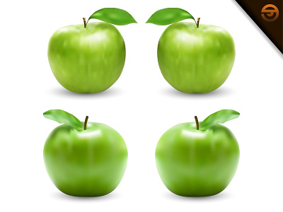 Realistic green apple vector illustration with gradient mesh