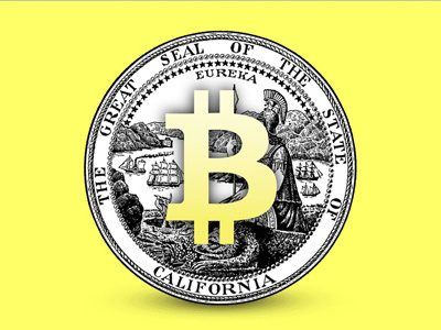 Bitcoin License Website activism bitcoin