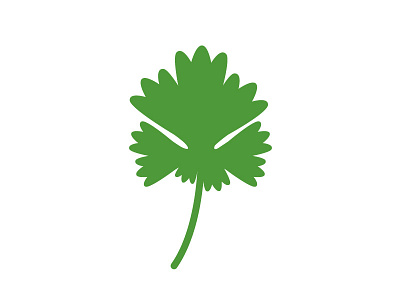 Coriander coriander flat herb icon koriander minimalism