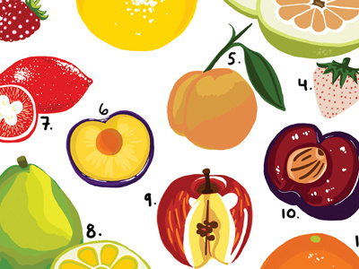 Fruit Hybrids bright colorful food fruit illustration textile
