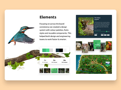 Wilpattu - design system