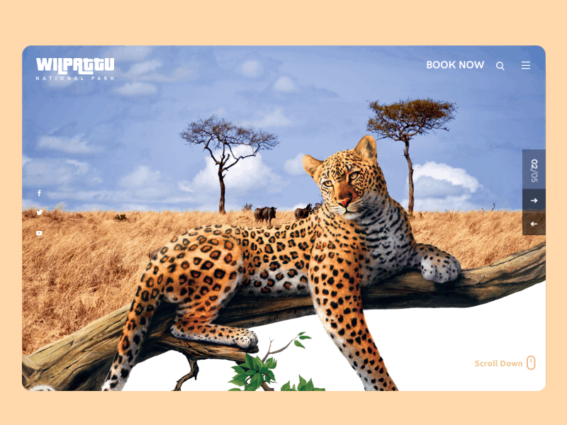 Wilpattu National Park - Landing Page branding concept design dribbble landing leopard mobile park play sketch ui ux wildlife