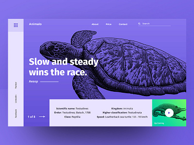 Conceptual Web UI Exploration clean design landing minimalistic page product simple turtle ui visual website