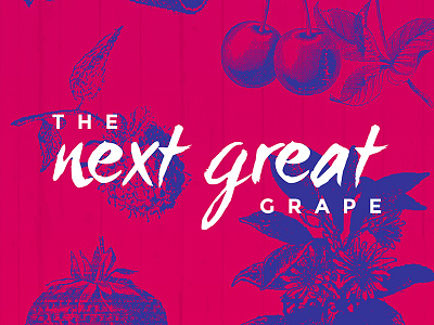 The Next Great Grape