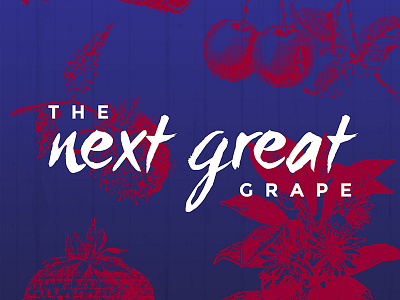 The Next Great Grape fruit