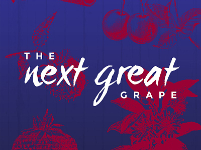 The Next Great Grape