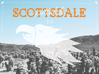 Scottsdale, AZ arizona az bird black and white blue debut eagle phoenix phx scottsdale