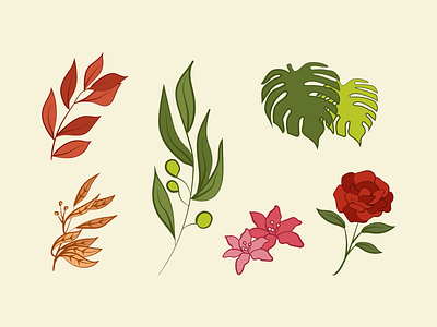 Floral Illustrations 2