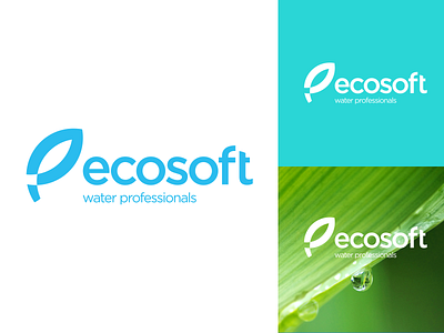 Ecosoft logo branding design ecosoft identity lettering logo