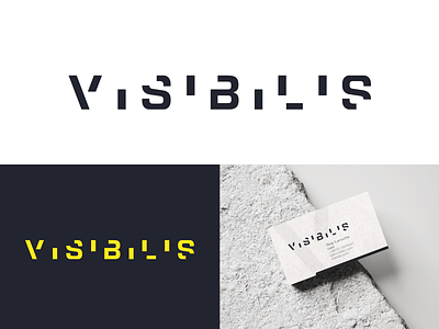 Visibilis logo branding design identity lettering logo visibilis
