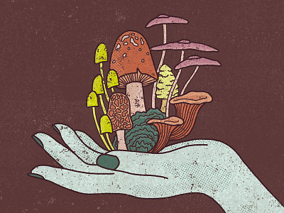 Growth hand hand drawn handdrawn illustration mushroom texture