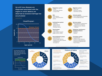 Slideshow Redesign for Medical Company