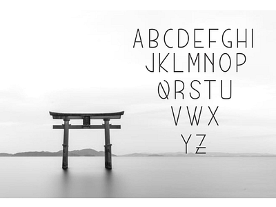 MUNICH Modern Sans serif branding clean font minimal modern popular sans sans serif serif logotype trending