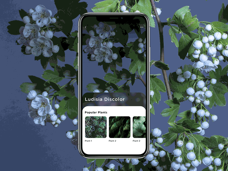 Scan plants app clean dark design gif image ios minimal motion motion animation photoshop plant plants scan ui user experience user interface ux video