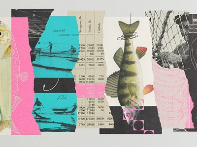 274 collage illustration