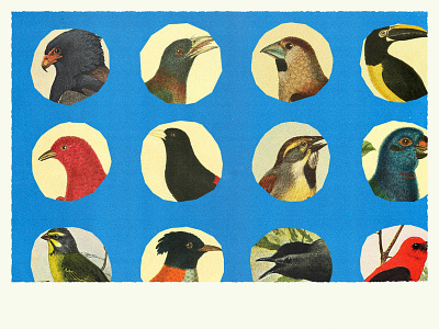 «Twitter hits 100M users» | Google News Initiative birds collage editorial illustration illustration social media social network tweets twitter