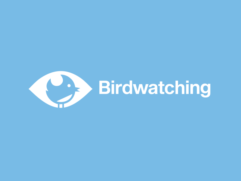 Birdwatching 2d adrian campagnolle after effects animation brand brand identity branding branding animation logo logo animation logotype motion design motion graphics