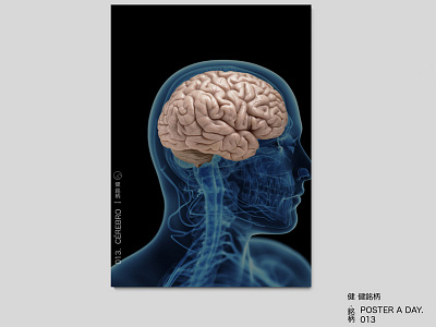 POSTER 013 - CÉREBRO anatomy brain design poster poster a day poster challenge poster collection poster design