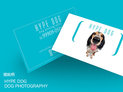 Hype Dog Photography brand design brand identity branding logo