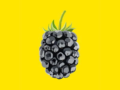 Blackberry blackberry fruit fruit illustration fruits illustration pop art