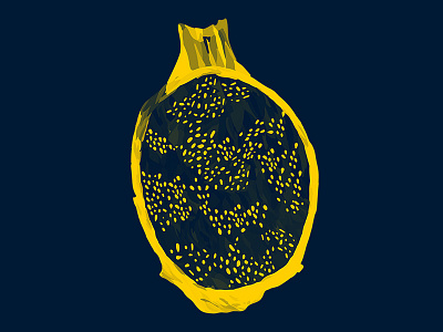 Dragonfruit dragonfruit duotone fruit fruit illustration