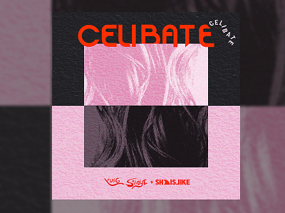 Celibate Concept album art art cover art digital art logo music photography retro