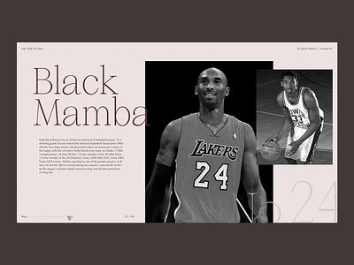 My Hall of Fame (see online) animation basketball clean concept desktop nba photography slider typography ui ux web design website