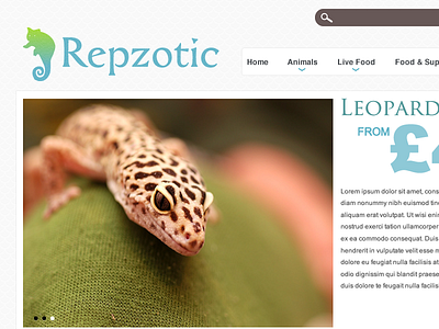 Repzotic gecko lizard psd reptile website