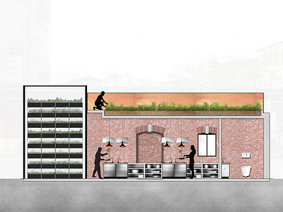 Shared Cooking Space Sectional Drawing