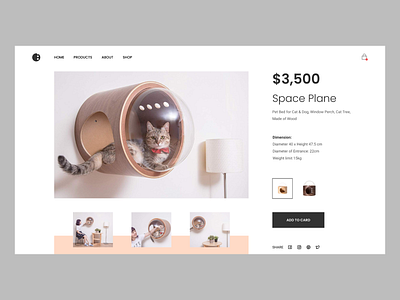 Space Plante bed cat challenge clean daily ui dog layout minimal pet typography ui
