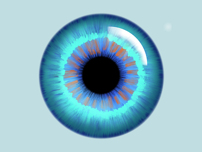 Eye