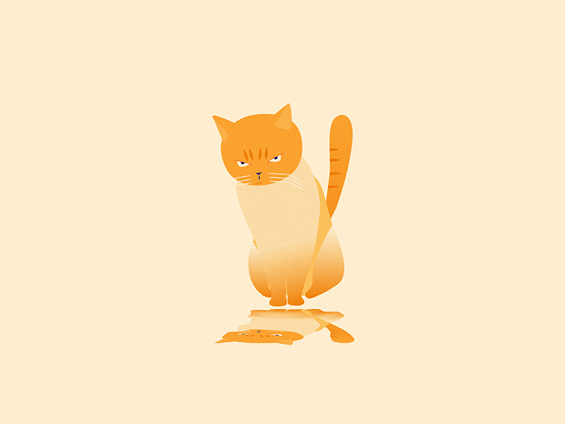 Cat by Lufor on Dribbble