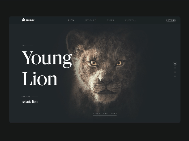 lion app branding design icon illustrator typography ui ux web website