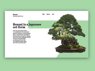 Bonsai bonsai design green tree ui ux web white