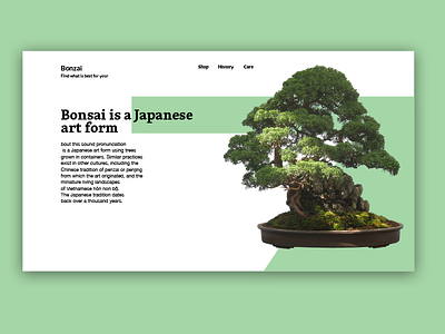 Bonsai