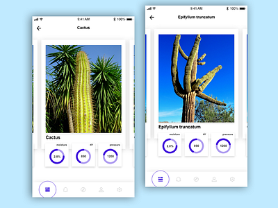 Cactus IOS app adobexd app color dailyui design fun iphone ui ux white