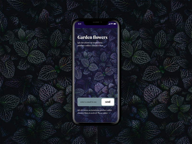Garden newsletter screen newsletter email dailyui 2d adobexd uiux ux ui app ios