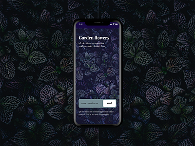 Garden newsletter screen 2d adobexd app dailyui email ios newsletter ui uiux ux