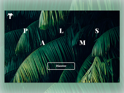 Daily Landing Page – Palms 2d adobexd dailyui illustrator photoshop ui uiux ux web adobe landingpage palm
