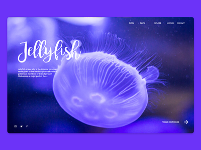 Website Jellyfish