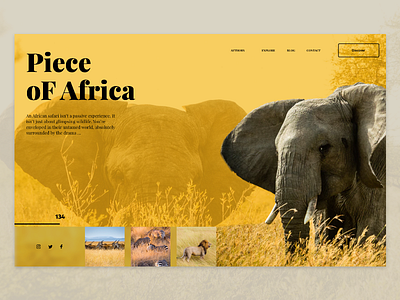 Africa Landing page adobexd dailyui langinpage photoshop ui uiux ux web