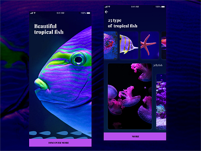 Beautiful Tropical Fish dailyui fish ios iphonex ui ux