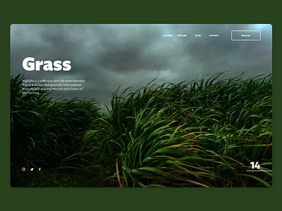 Landing Page Grass adobexd dailyui design ui ux web adobe