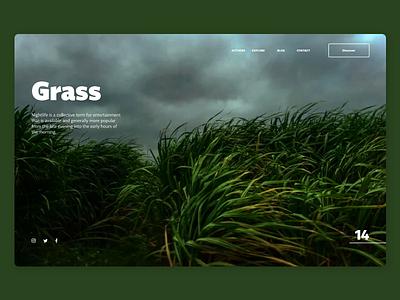 Landing Page Grass