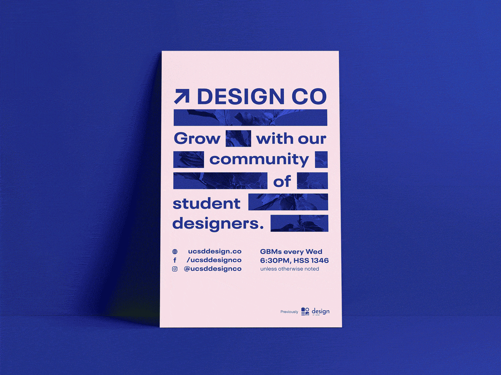 Design Co Posters branding duotone poster print rebrand
