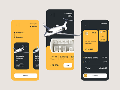 Private aircraft rental app concept